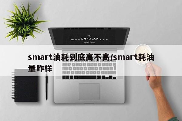 smart油耗到底高不高/smart耗油量咋样