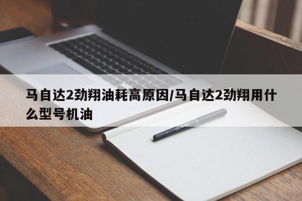 马自达2劲翔油耗高原因/马自达2劲翔用什么型号机油